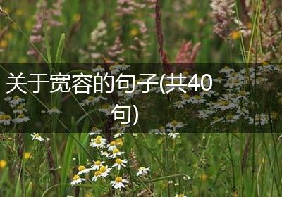 关于宽容的句子(共40句)