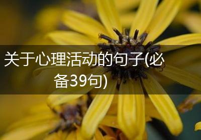 关于心理活动的句子(必备39句)