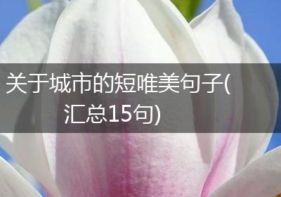 关于城市的短唯美句子(汇总15句)