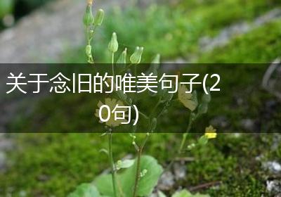 关于念旧的唯美句子(20句)
