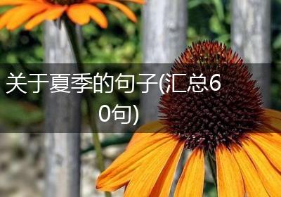 关于夏季的句子(汇总60句)
