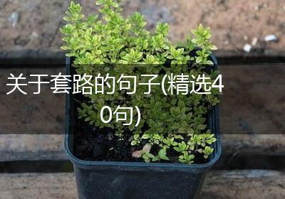 关于套路的句子(精选40句)