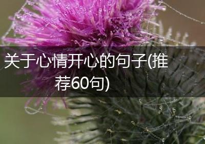 关于心情开心的句子(推荐60句)