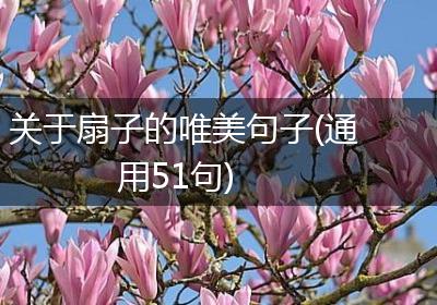 关于扇子的唯美句子(通用51句)