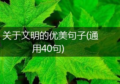 关于文明的优美句子(通用40句)