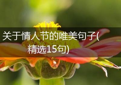 关于情人节的唯美句子(精选15句)