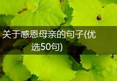 关于感恩母亲的句子(优选50句)