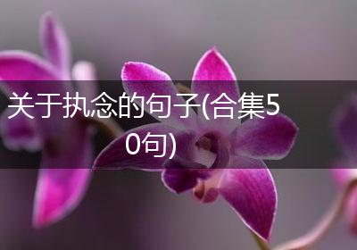 关于执念的句子(合集50句)