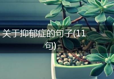 关于抑郁症的句子(11句)