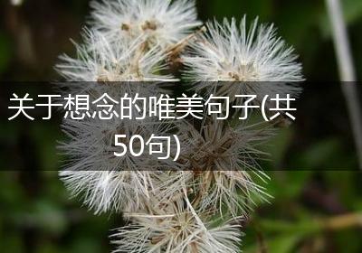 关于想念的唯美句子(共50句)