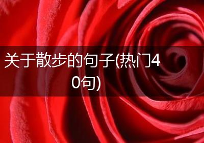 关于散步的句子(热门40句)