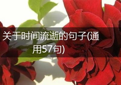 关于时间流逝的句子(通用57句)
