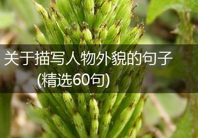 关于描写人物外貌的句子(精选60句)