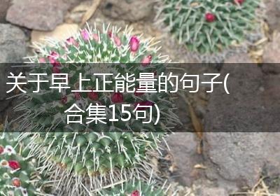 关于早上正能量的句子(合集15句)