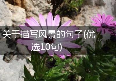 关于描写风景的句子(优选10句)