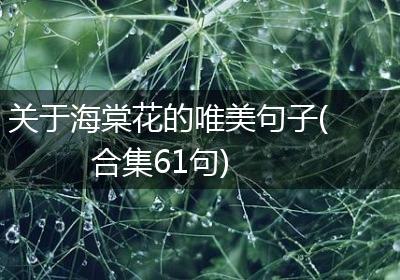 关于海棠花的唯美句子(合集61句)