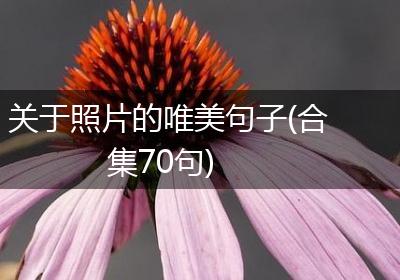 关于照片的唯美句子(合集70句)