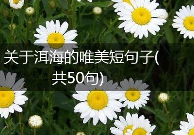 关于洱海的唯美短句子(共50句)