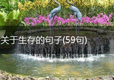 关于生存的句子(59句)
