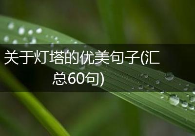 关于灯塔的优美句子(汇总60句)
