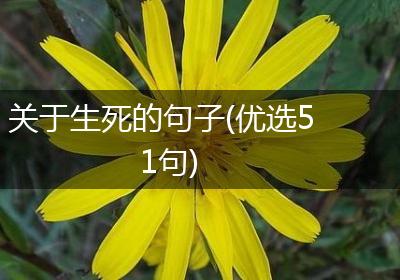 关于生死的句子(优选51句)