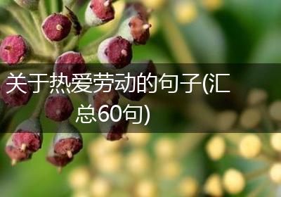 关于热爱劳动的句子(汇总60句)