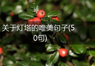 关于灯塔的唯美句子(50句)