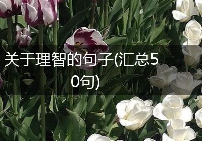 关于理智的句子(汇总50句)