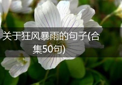关于狂风暴雨的句子(合集50句)