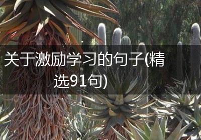 关于激励学习的句子(精选91句)