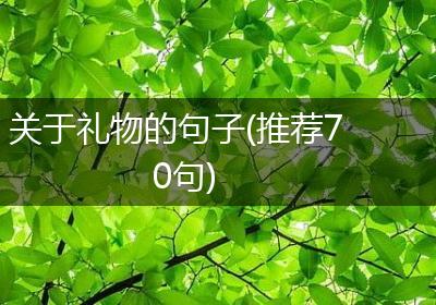 关于礼物的句子(推荐70句)