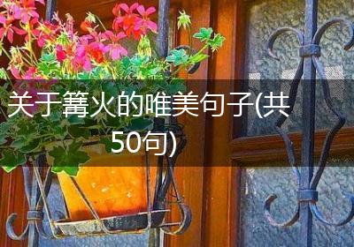 关于篝火的唯美句子(共50句)