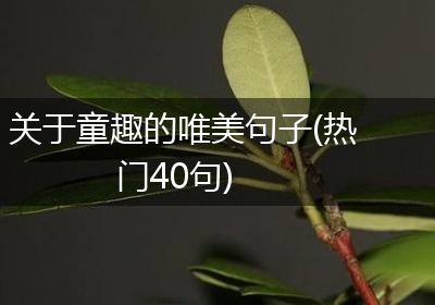 关于童趣的唯美句子(热门40句)