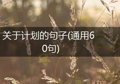 关于计划的句子(通用60句)