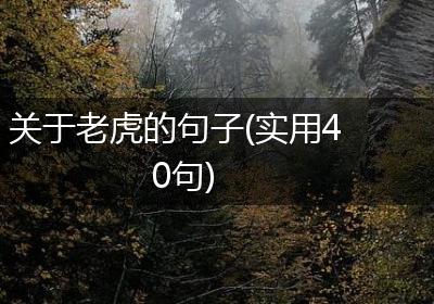 关于老虎的句子(实用40句)