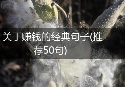 关于赚钱的经典句子(推荐50句)