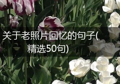 关于老照片回忆的句子(精选50句)