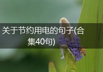 关于节约用电的句子(合集40句)