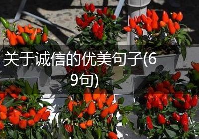 关于诚信的优美句子(69句)