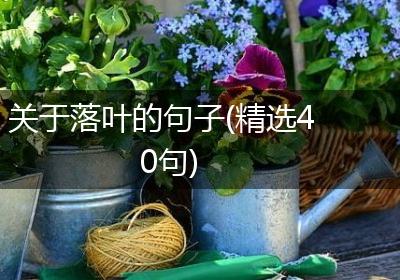 关于落叶的句子(精选40句)