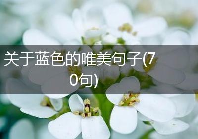 关于蓝色的唯美句子(70句)