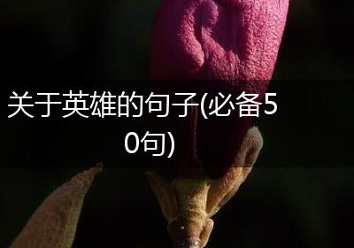 关于英雄的句子(必备50句)