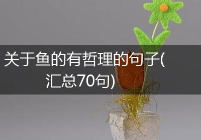 关于鱼的有哲理的句子(汇总70句)