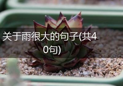 关于雨很大的句子(共40句)