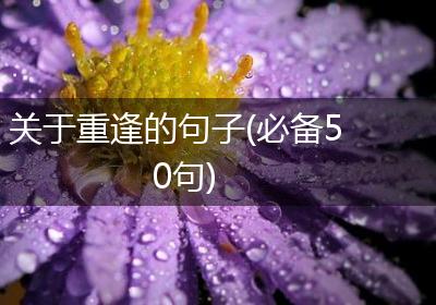 关于重逢的句子(必备50句)
