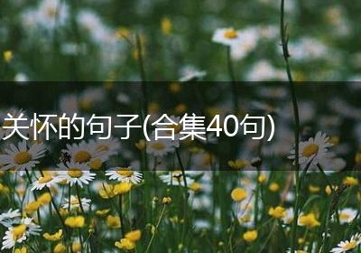关怀的句子(合集40句)