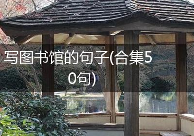 写图书馆的句子(合集50句)