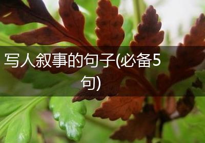 写人叙事的句子(必备5句)