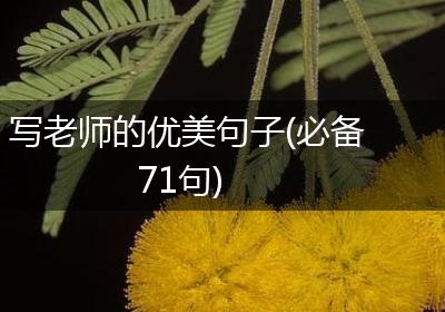 写老师的优美句子(必备71句)