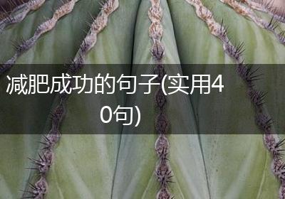 减肥成功的句子(实用40句)